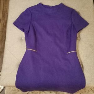 Tahari purple sheath